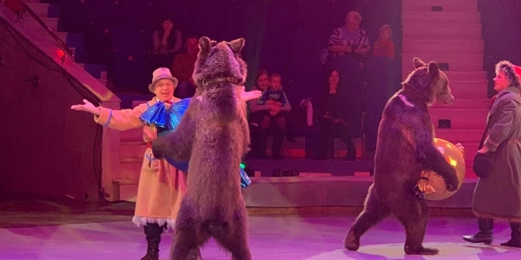 На Колыме проснулись медведи, чиновники призывают их не пугать