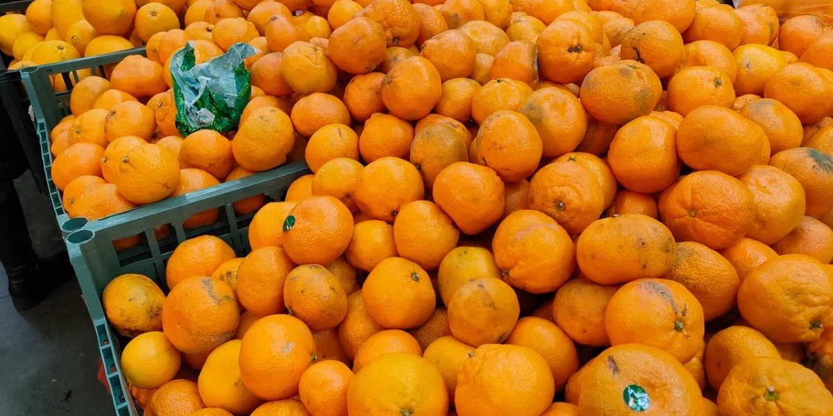 Новосибирские ученые разработали биогель, продлевающий срок хранения фруктов и овощей