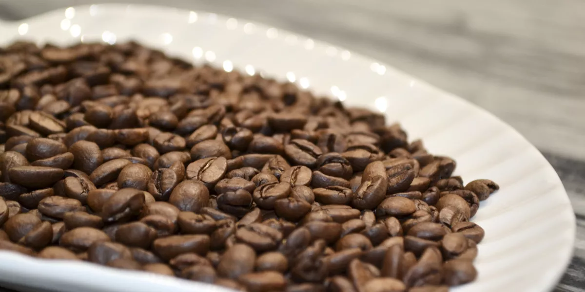 Ученые выявили пользу какао-бобов для здоровья