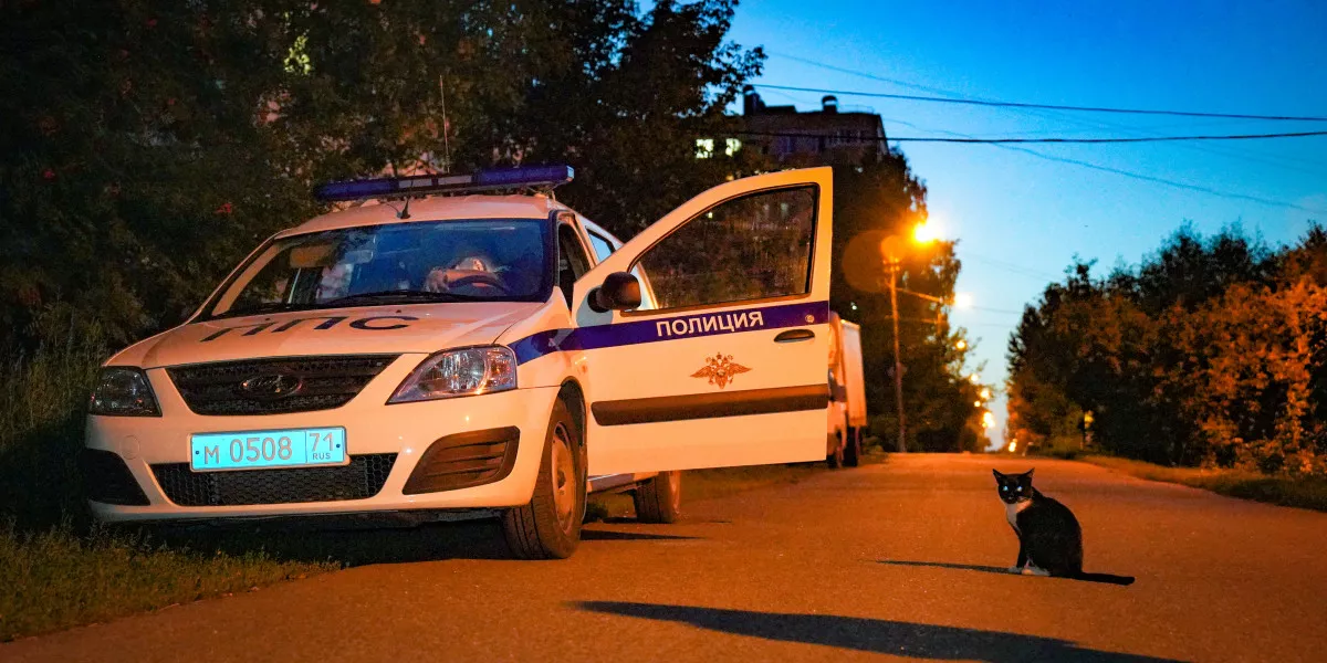 В Перми женщина избила полицейского детским зонтом