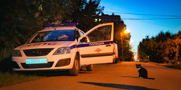 В Перми от действий юристов-мошенников пострадали 80 человек