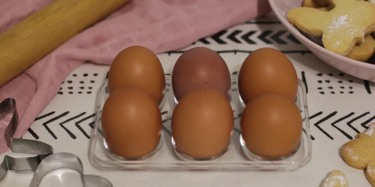 Яйца будут продавать по дешевке в Костромской области