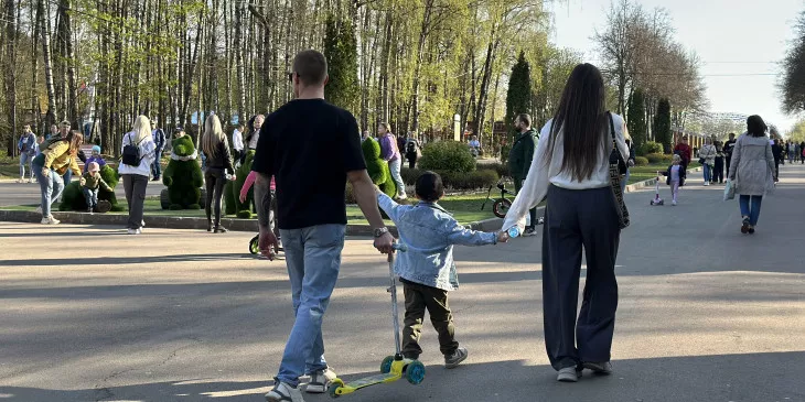 Мемориальный парк в Рязани призвали спасти от непарного шелкопряда