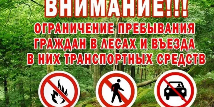 В Крыму 25 апреля вводится ограничение пребывания граждан в лесах и въезда транспорта