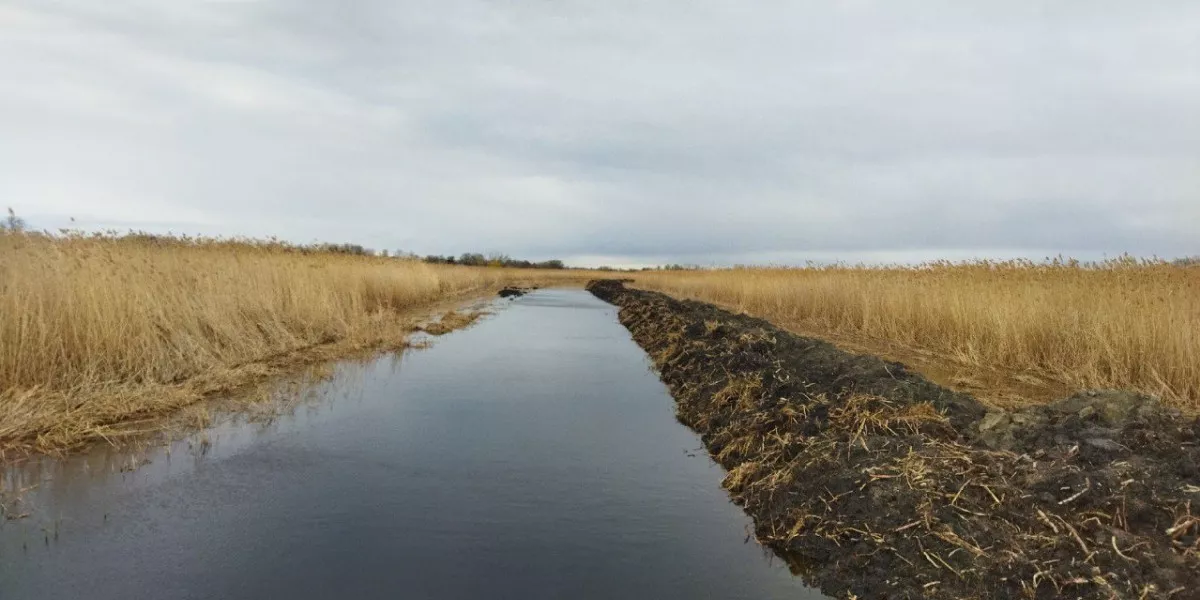 В 2024 году в Краснодарском крае расчистят русла 14 рек